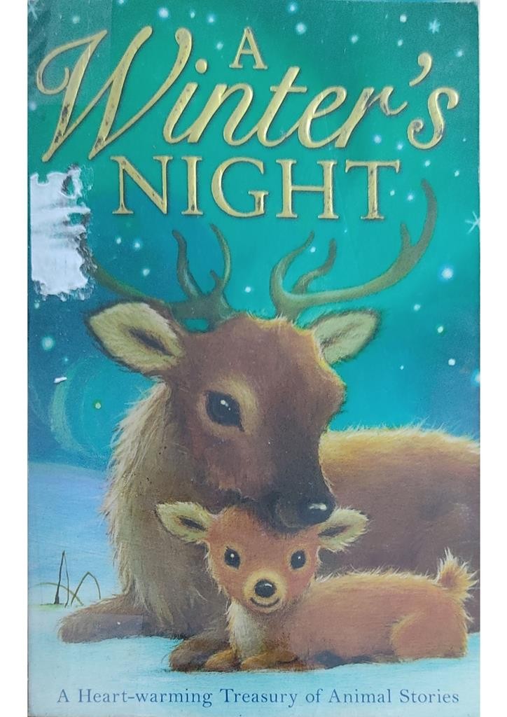 A Winter's Night