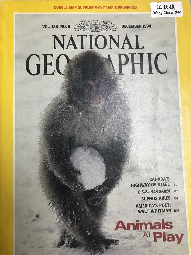 National Geographic-Animals At Play