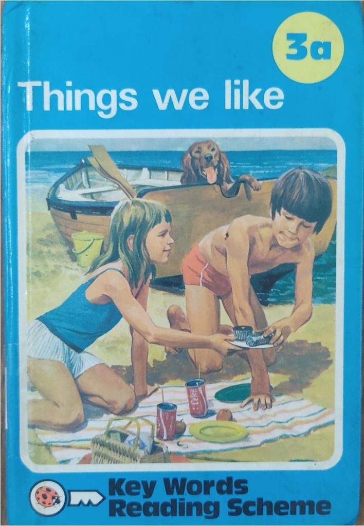 Key Words with Ladybird 3a: Things we like