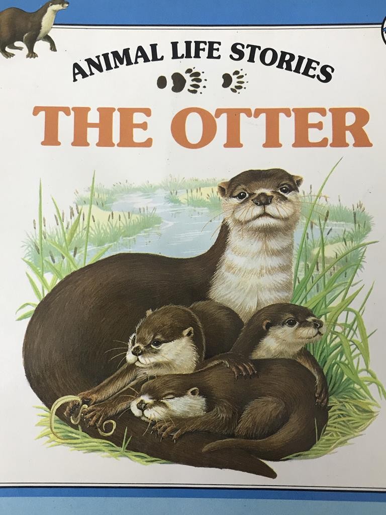 The Otter