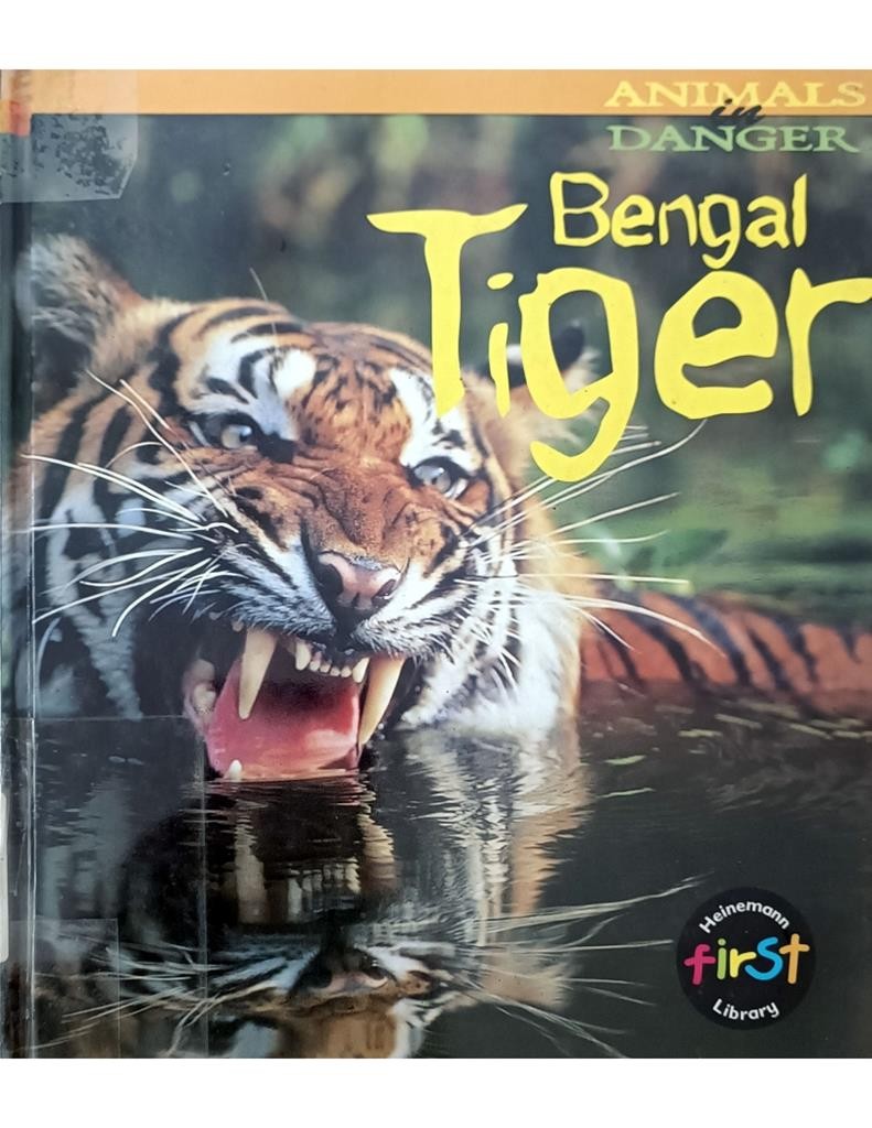 Bengal Tiger