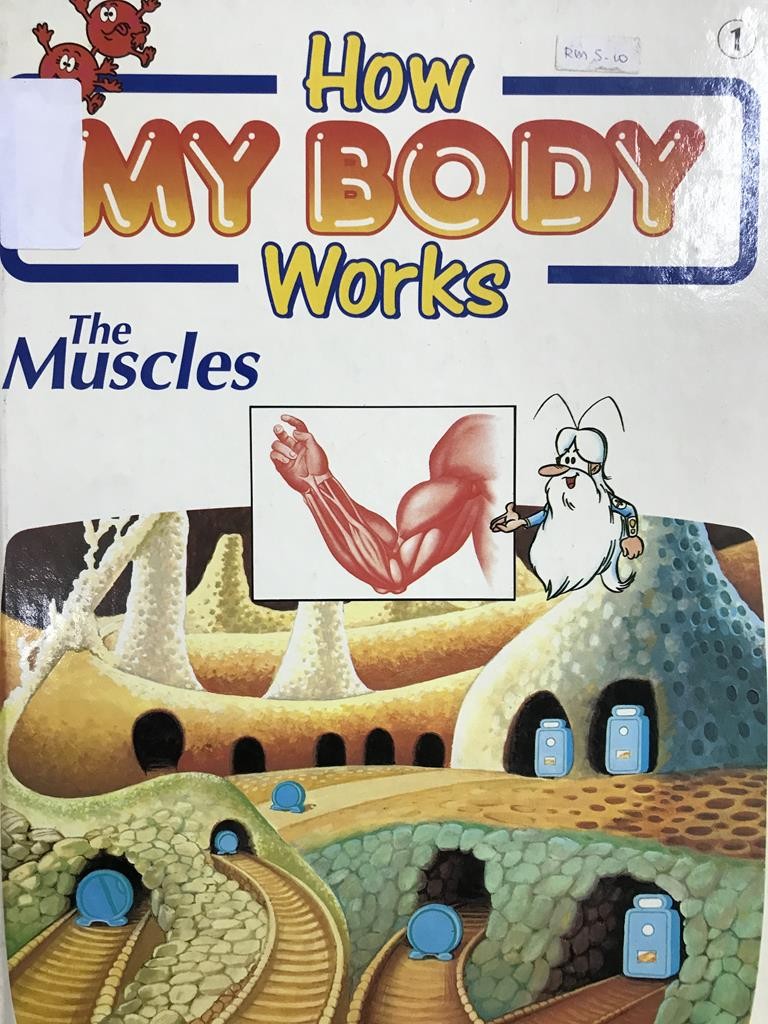 How My Body Works 【 The Muscles 】