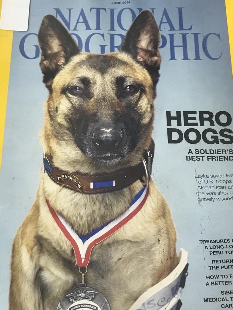 National Geographic - Hero Dogs