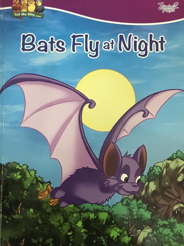 Bats Fly At Night