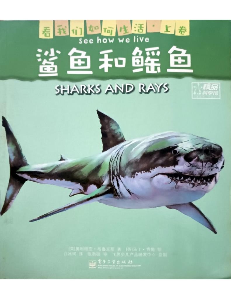 Sharks And Rays 鲨鱼和鳐鱼