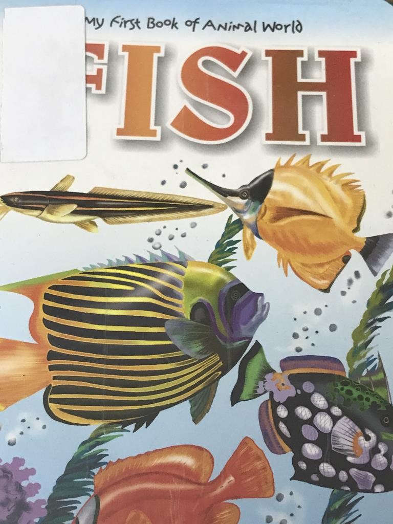 Fish