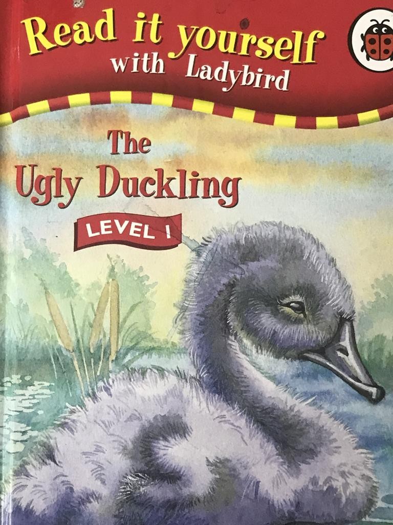 The Ugly Duckling