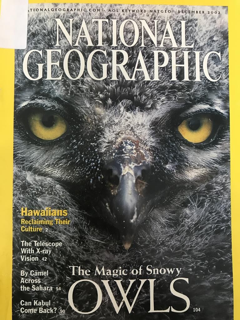 National Geographic - The Magic Of Snowy Owls