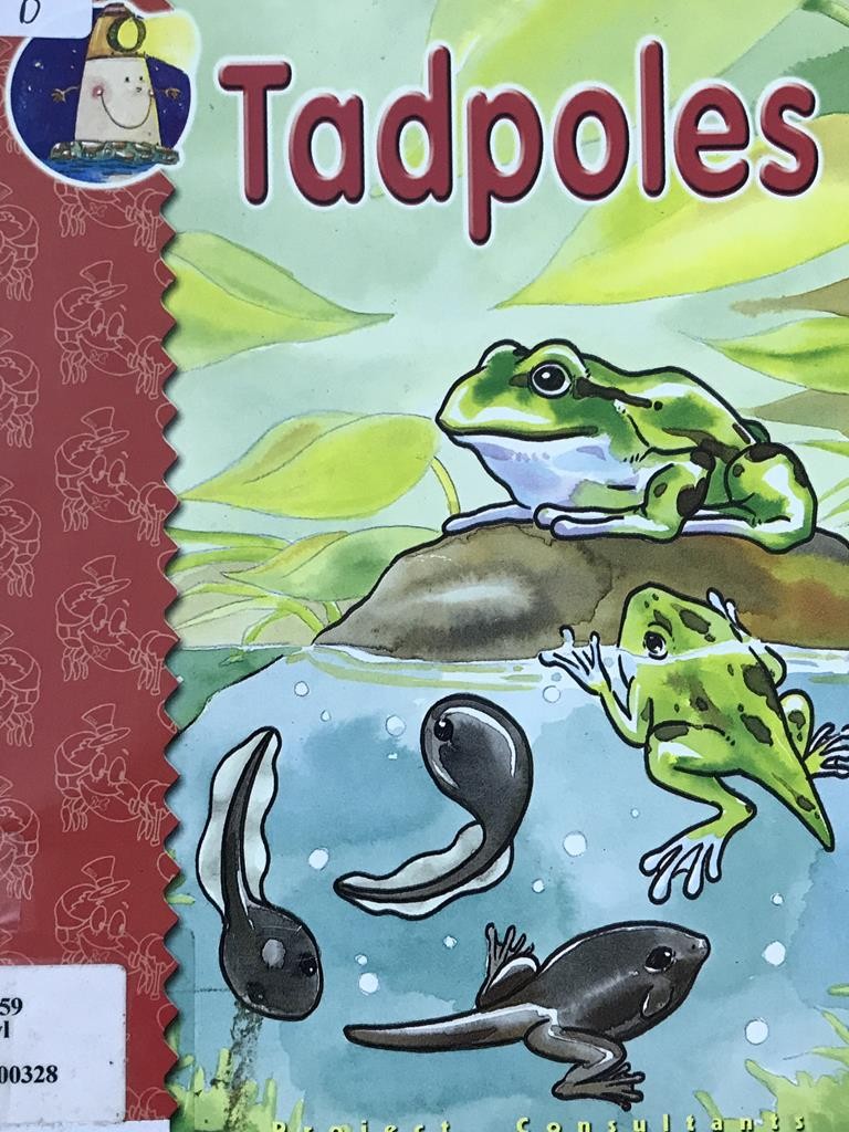 Tadpoles