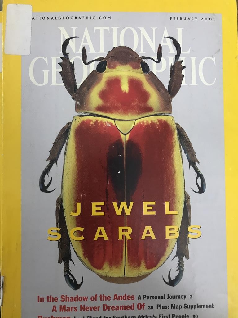 National Geographic - Jewel Scarabs