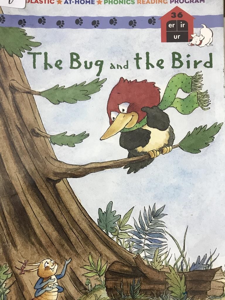 The Bug And The Bird