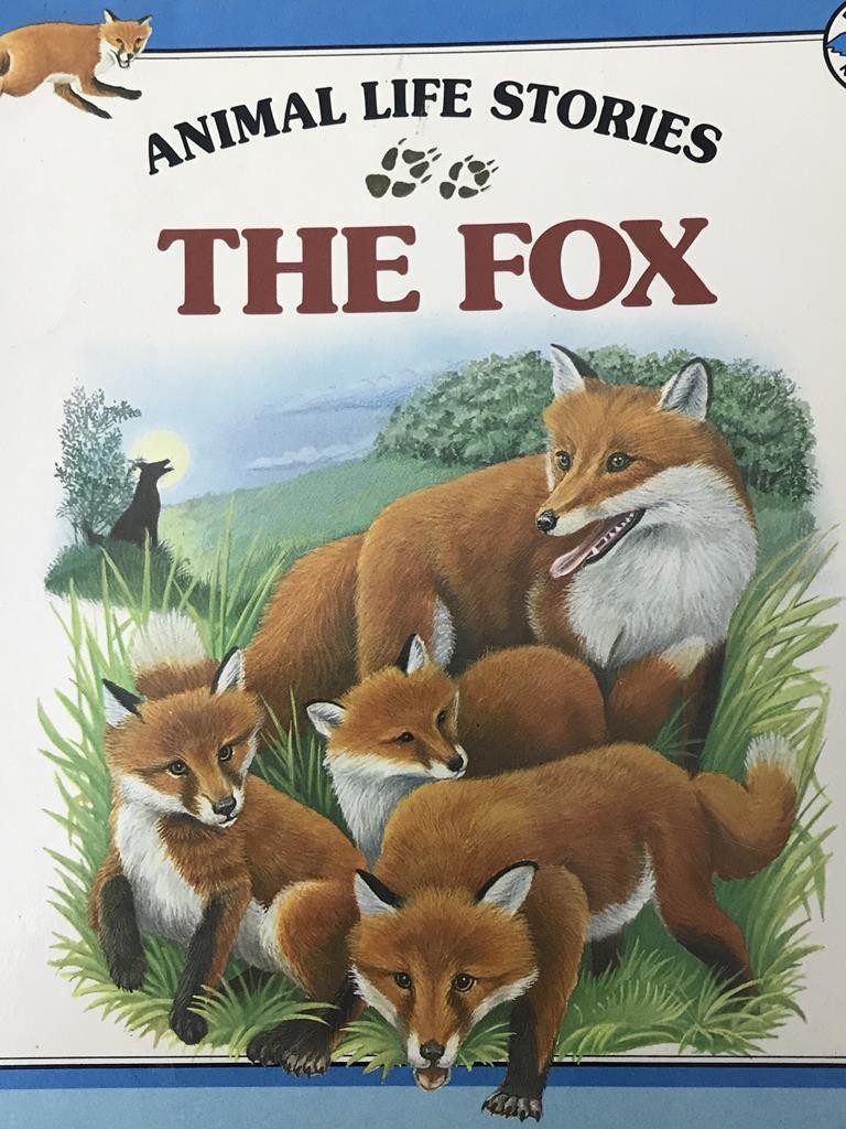 The Fox