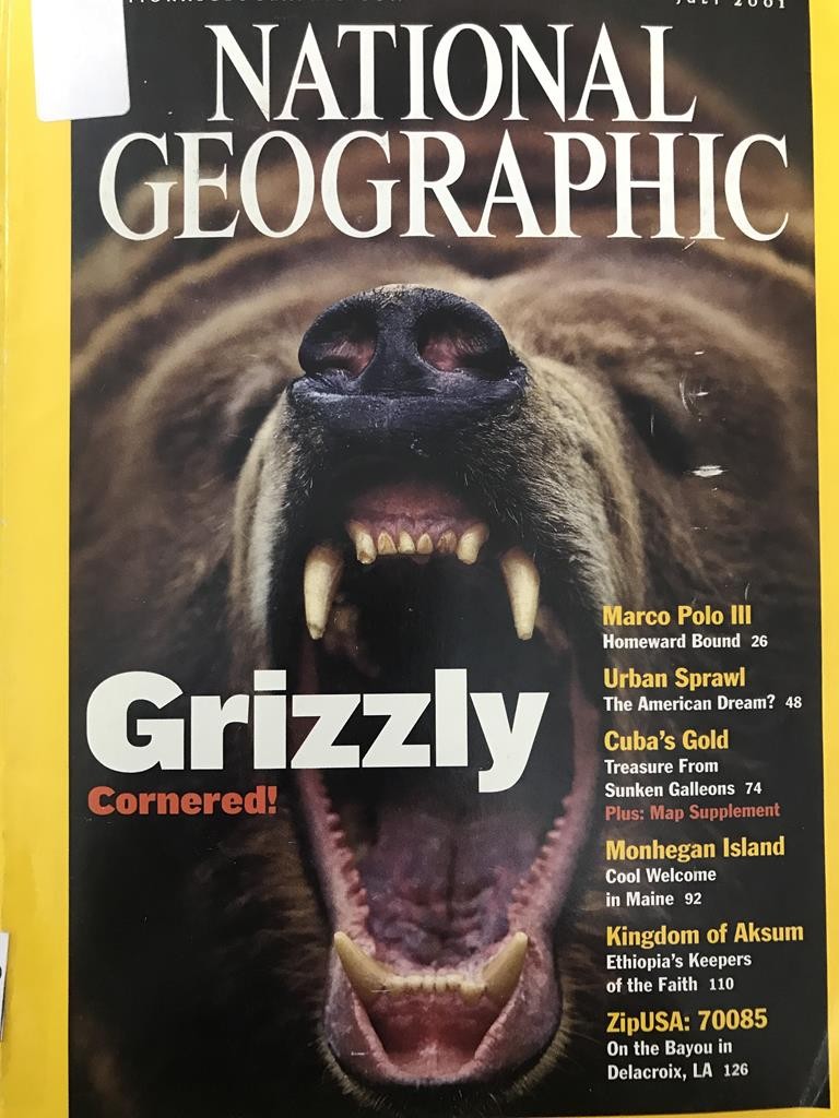 National Geographic - Grizzly