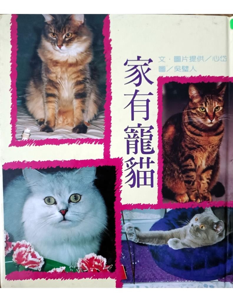 家有宠猫