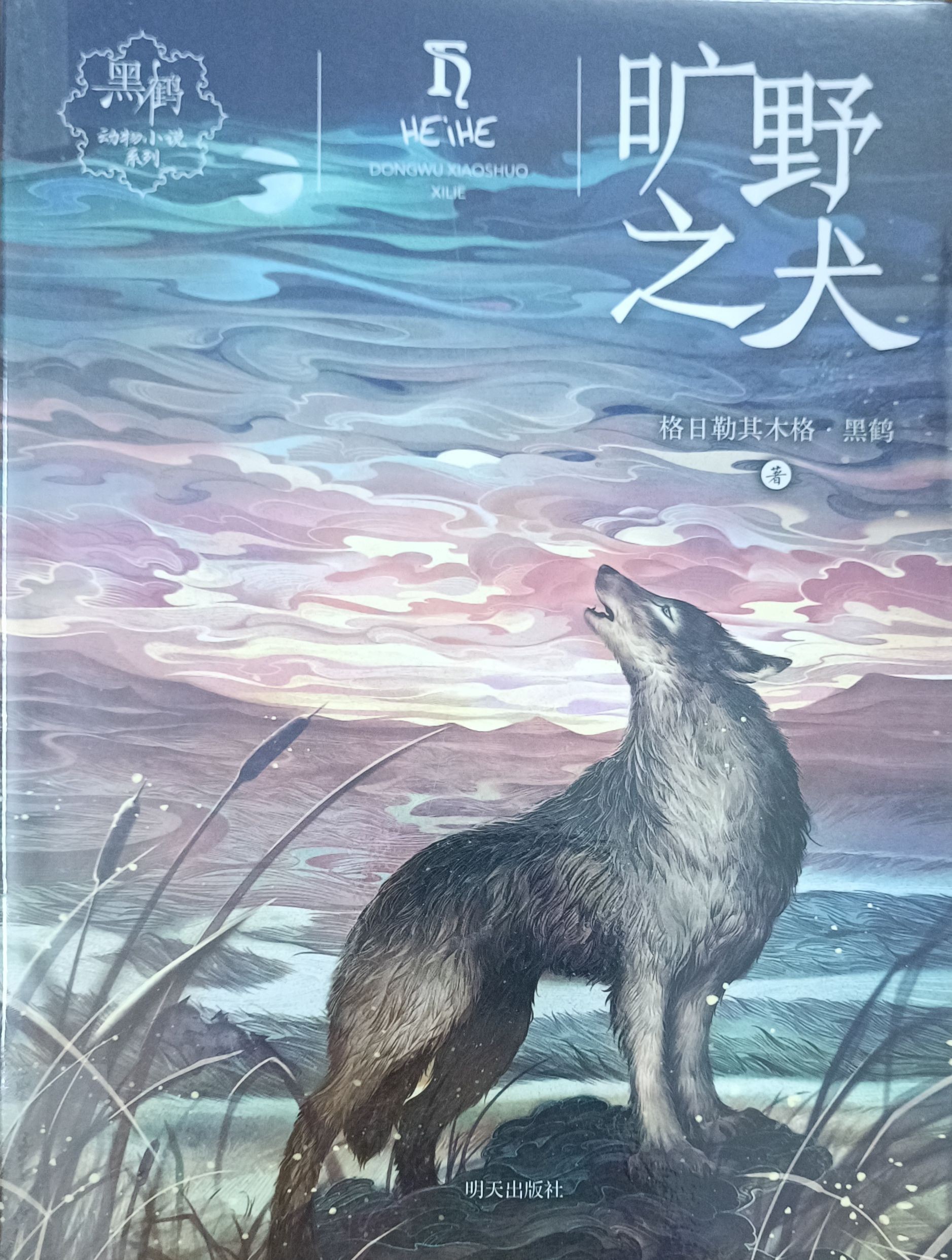 旷野之犬