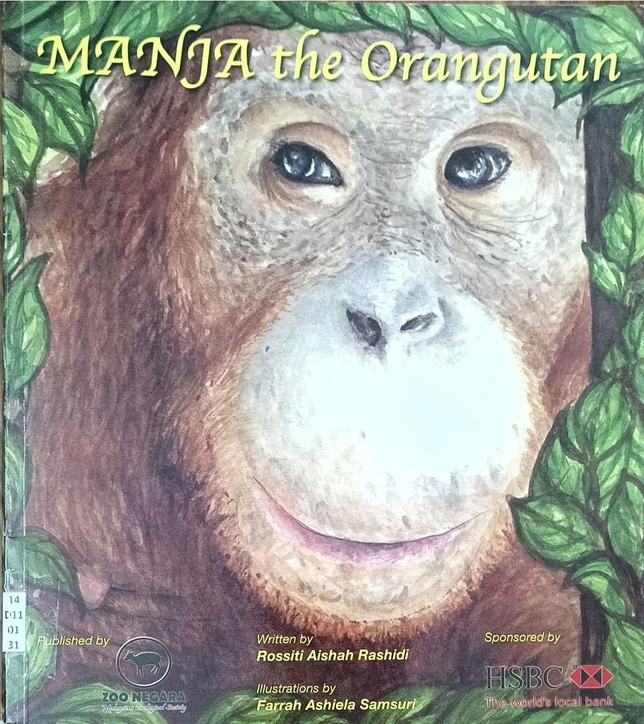 Manja the Orangutan