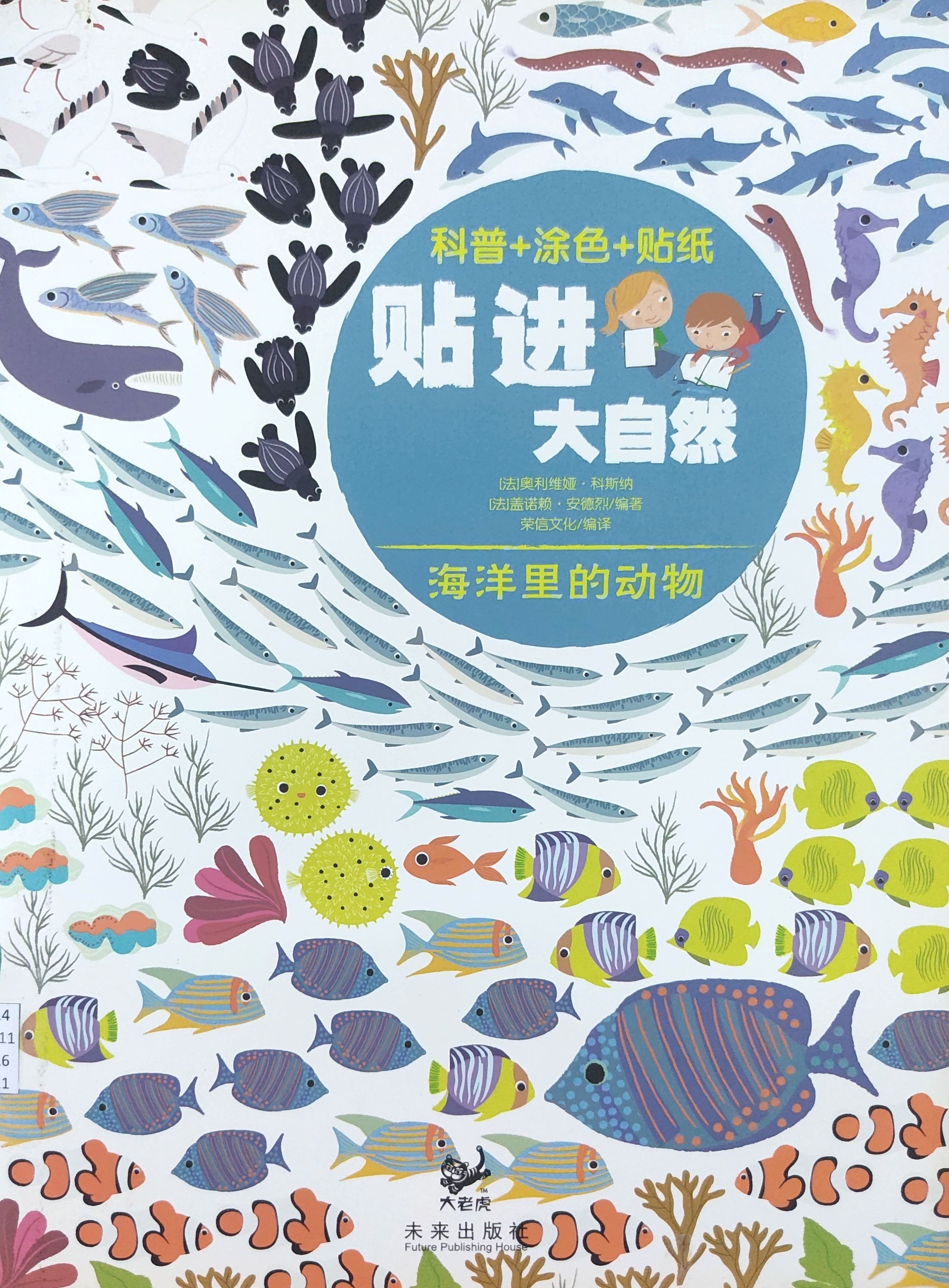 海洋里的动物