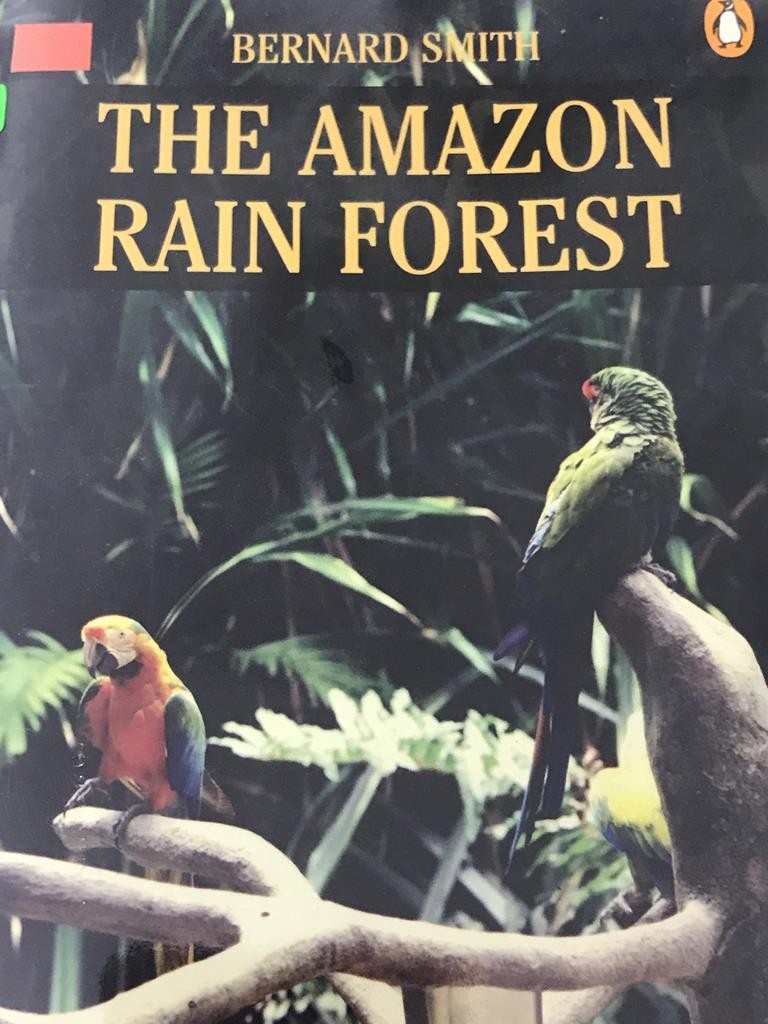 The Amazon Rain Forest