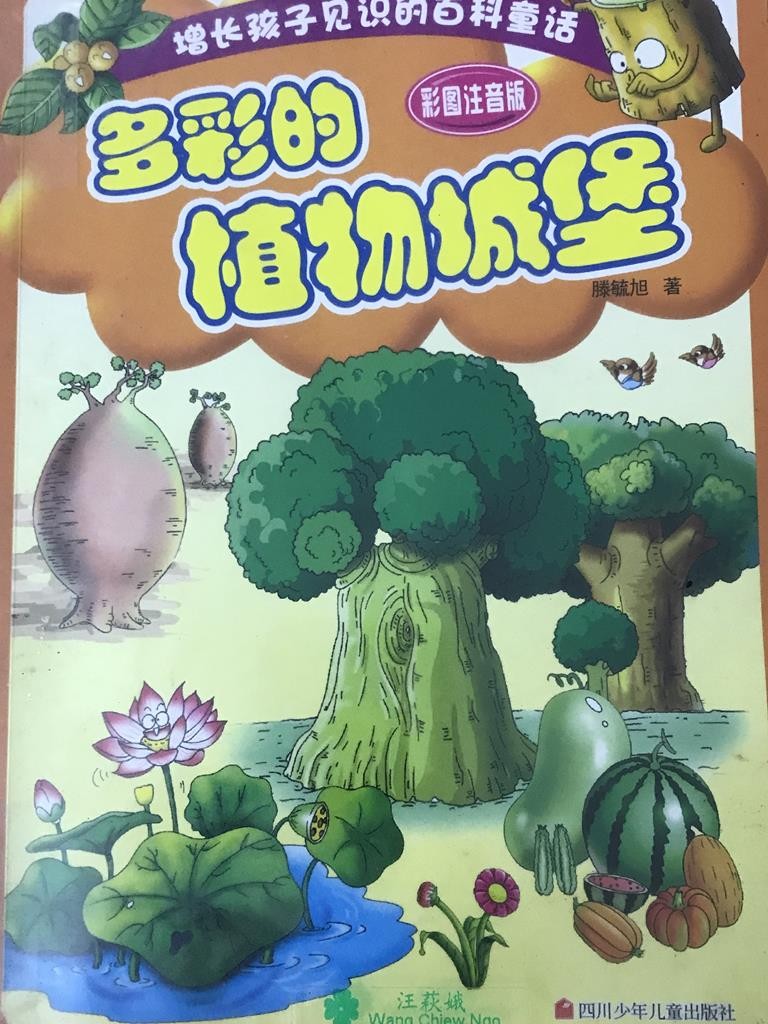 多彩的植物城堡