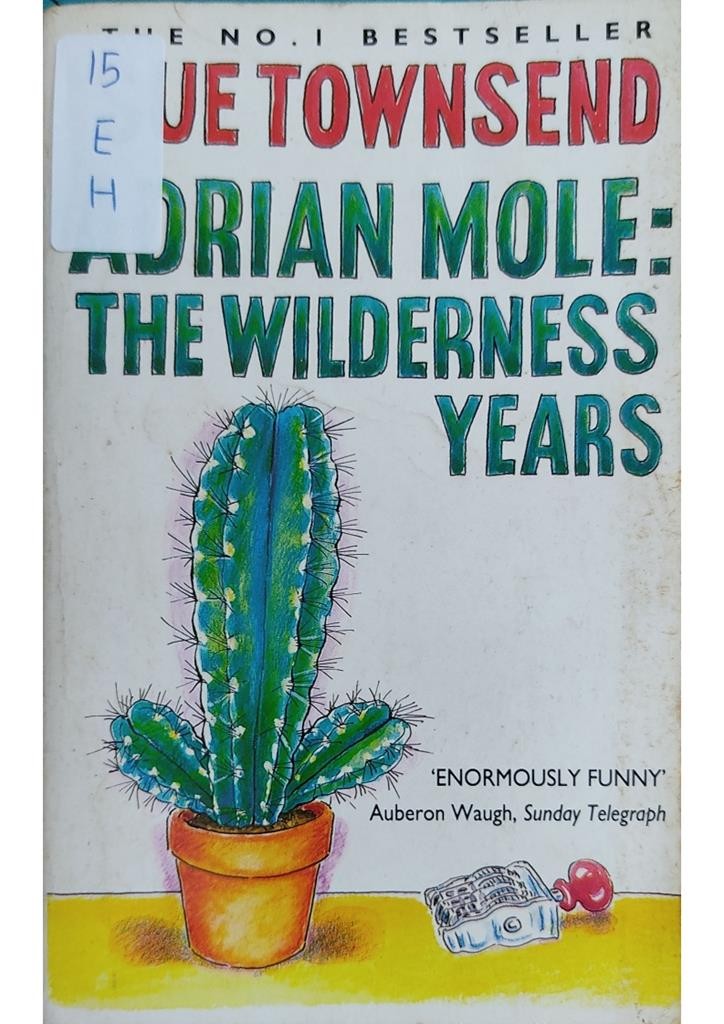 Adrian Mole: The Wilderness Years