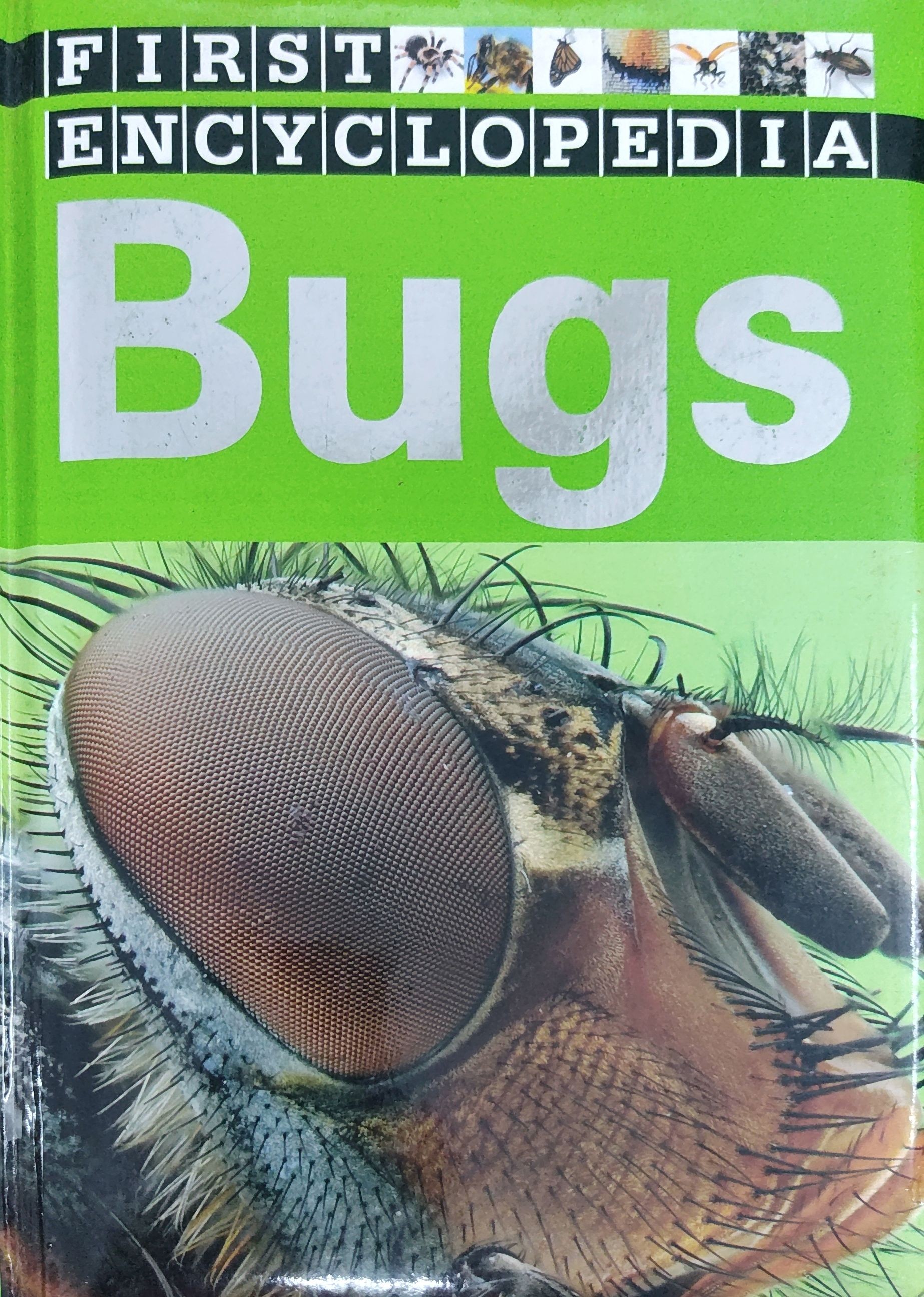First Encyclopedia - Bugs