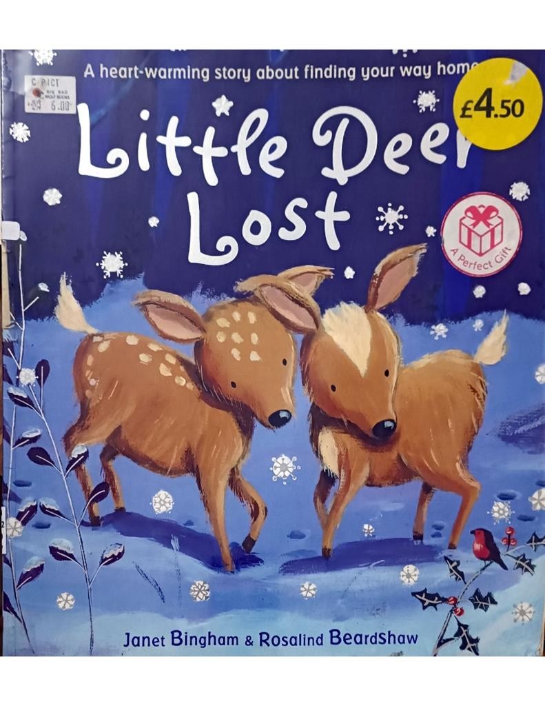 Little Deer Lost