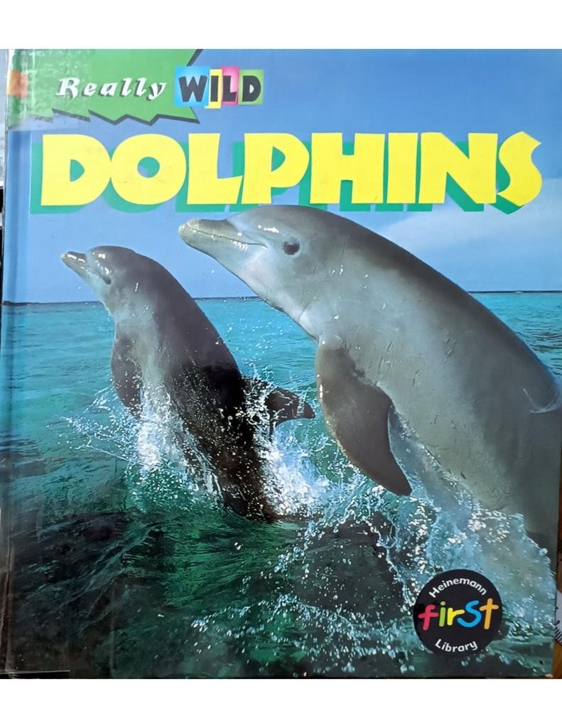 Dolphins