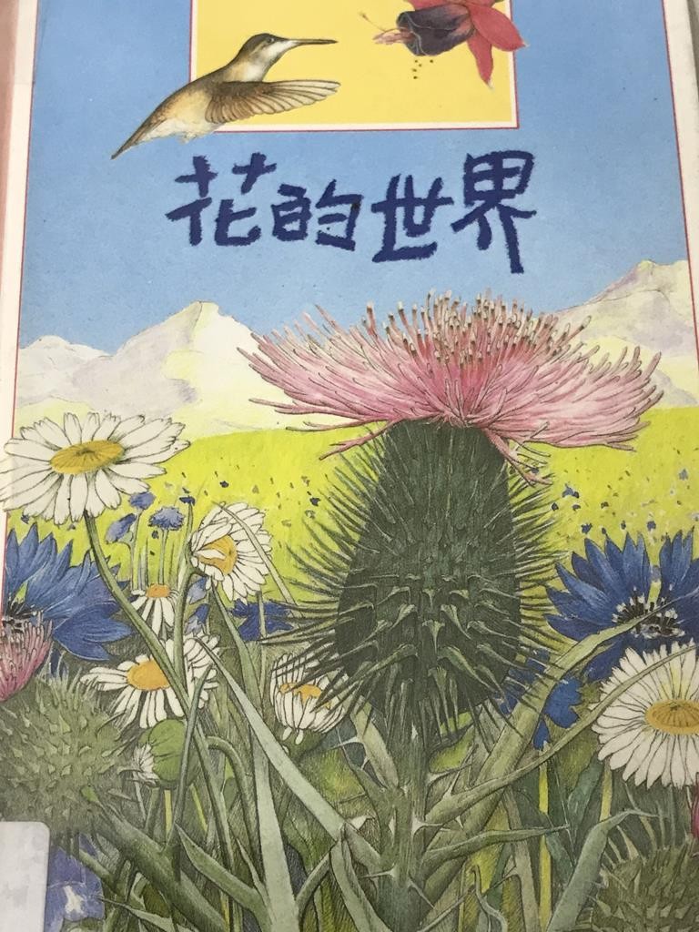 花的世界