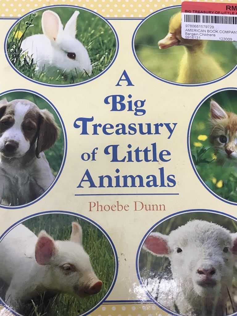 A Big Treasury Of Little Animals