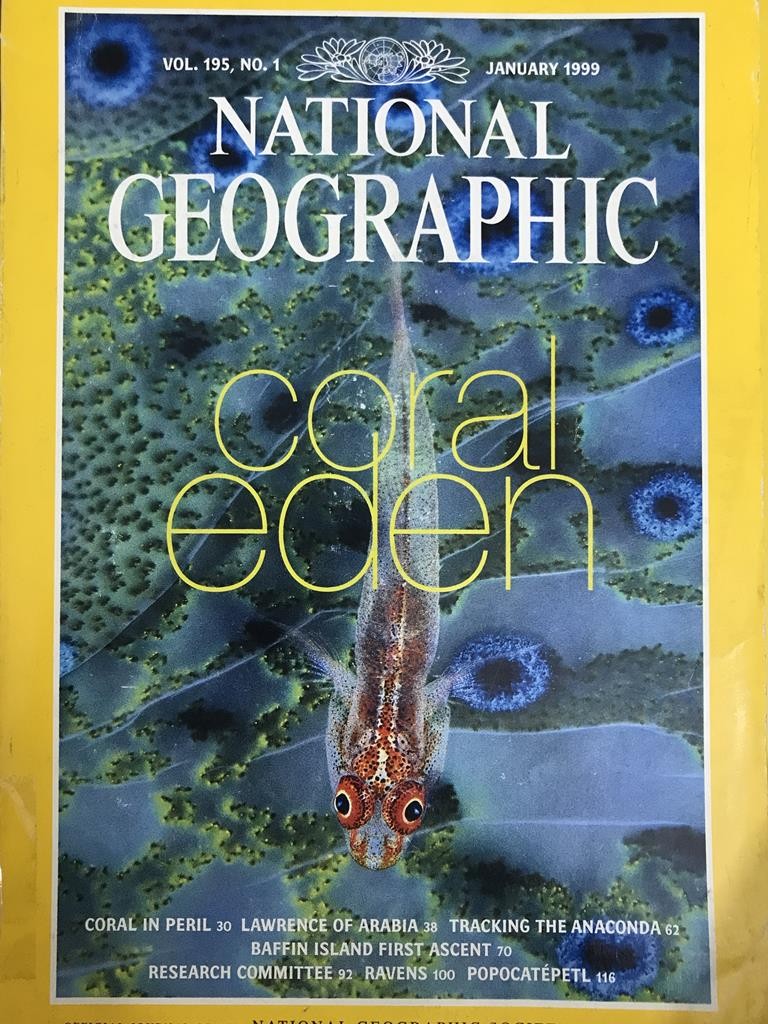 National Geographic - Coral Eden