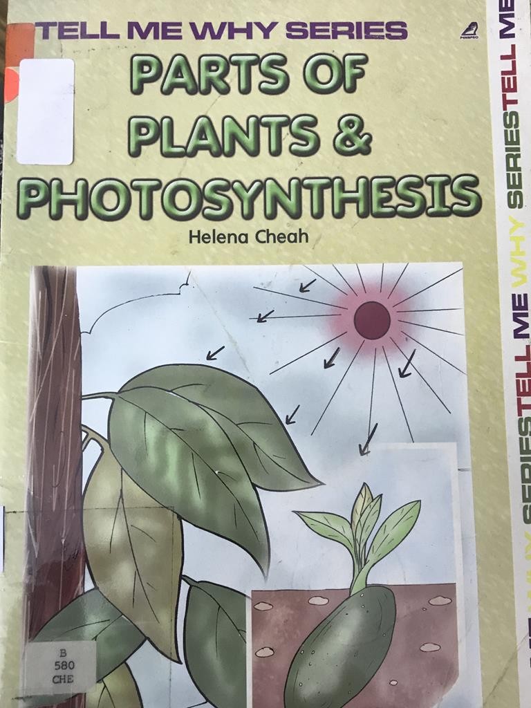 Parts Of Plants & Photosynthesis