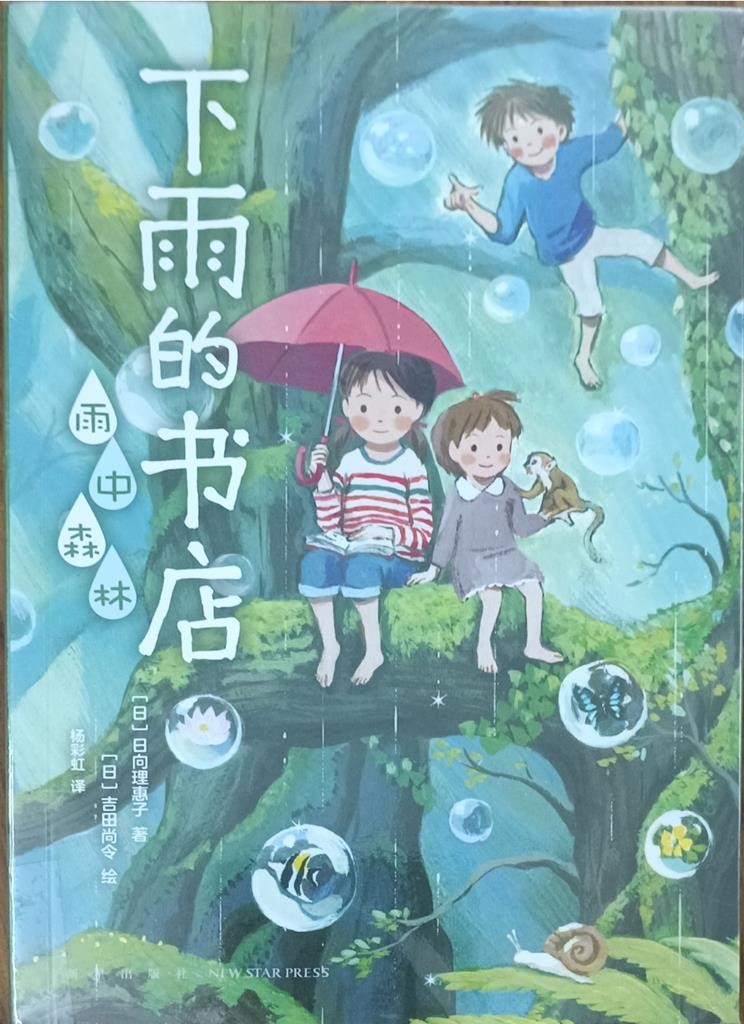 雨中森林 (下雨的书店)