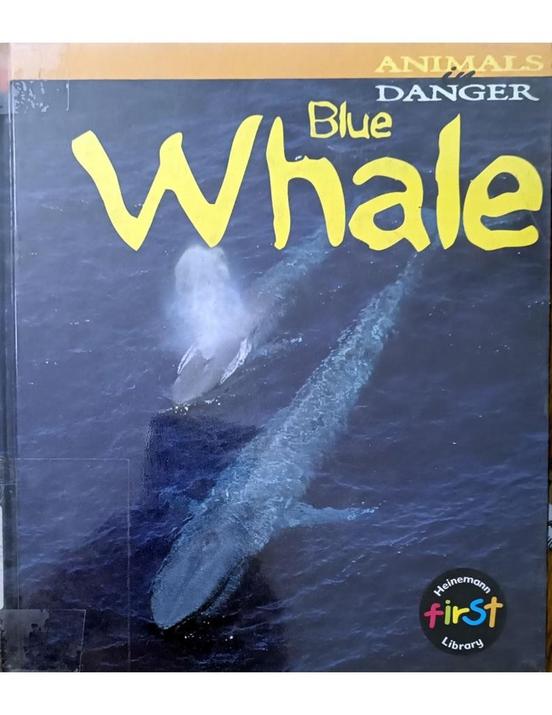 Blue Whale