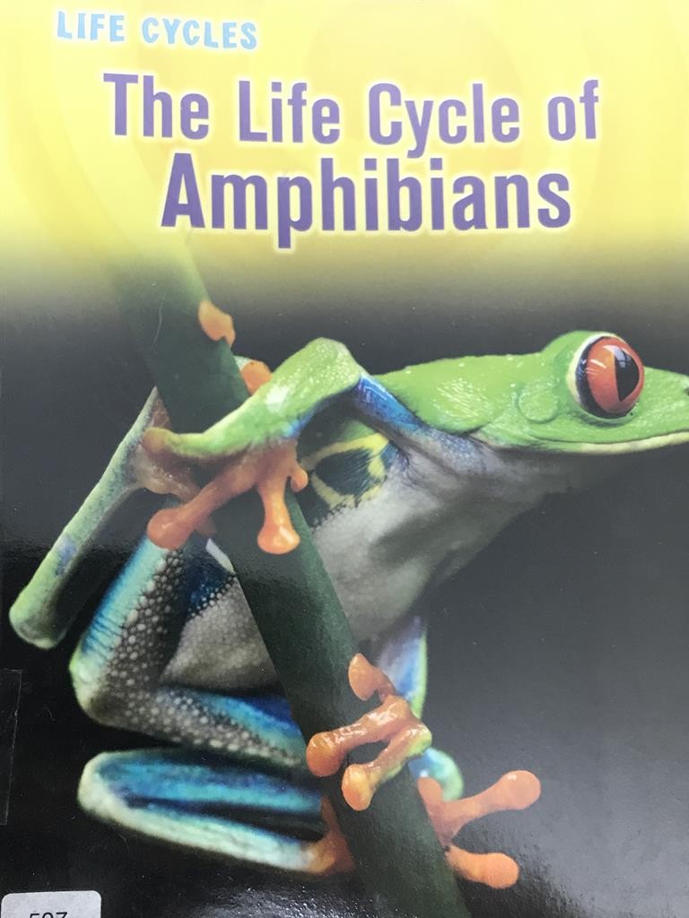 The Life Cycle Of Amphibians