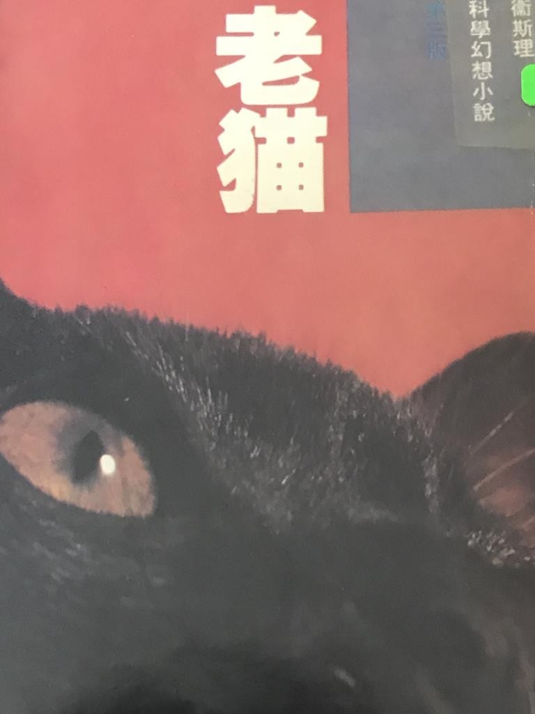 老猫