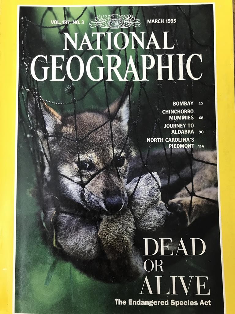 National Geographic-Dead Or Alive