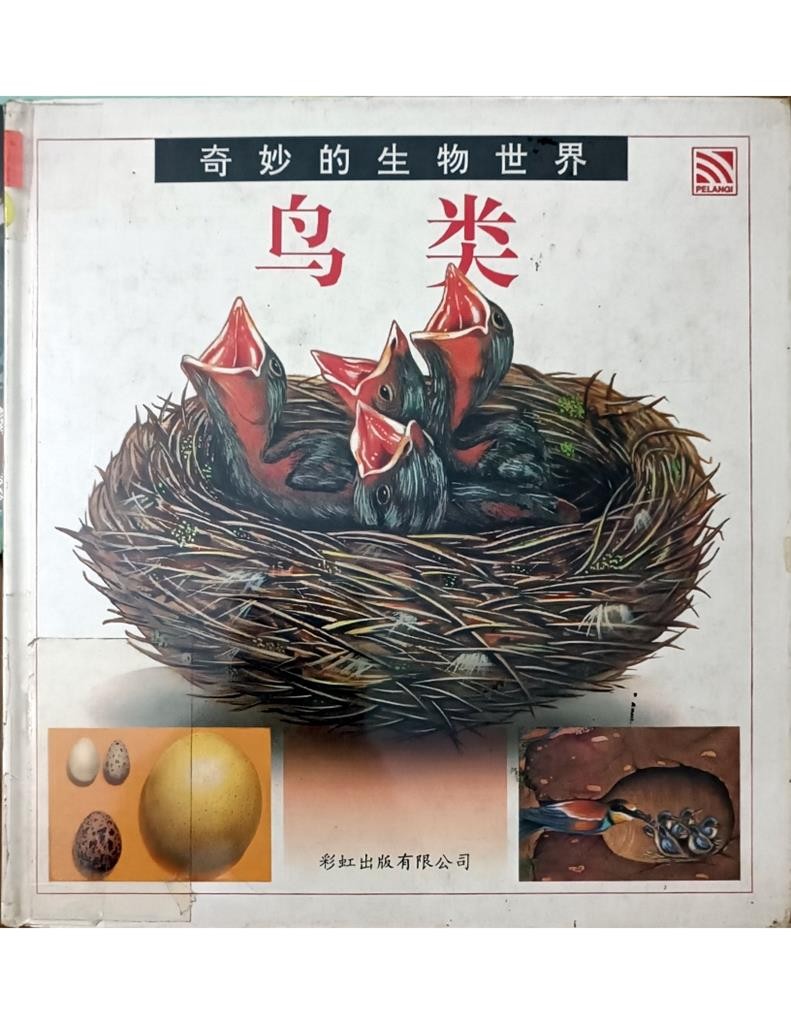 鸟类（奇妙的生物世界）