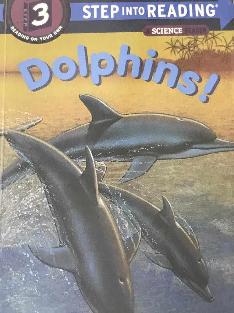 Dolphins