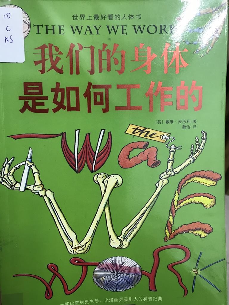 我们的身体是如何工作的