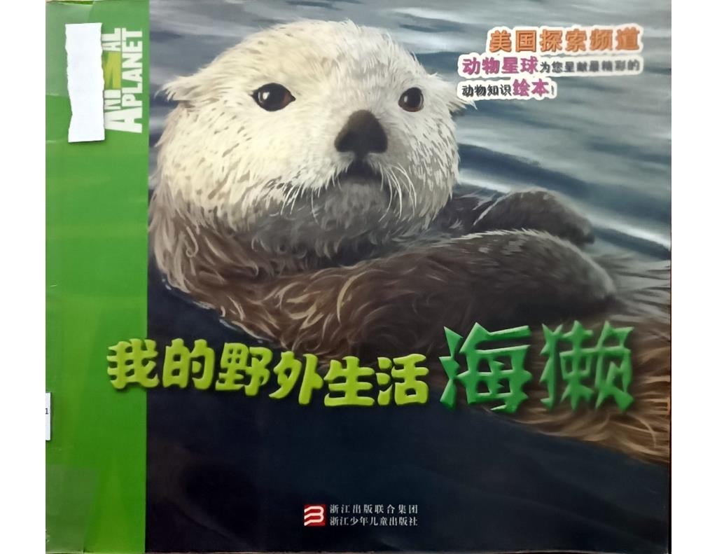 我的野外生活海獭