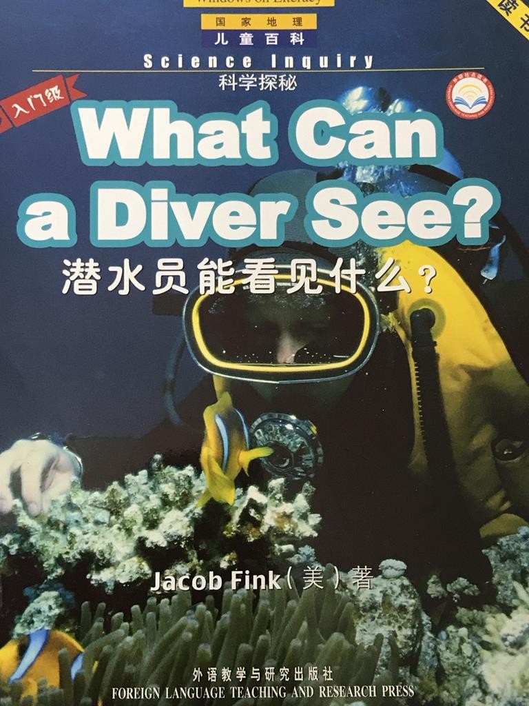 What Can A Divwer See?