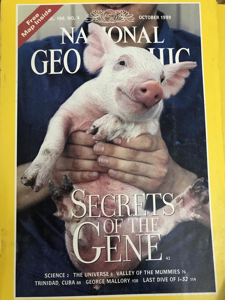 National Geographic - Secrets Of The Gene