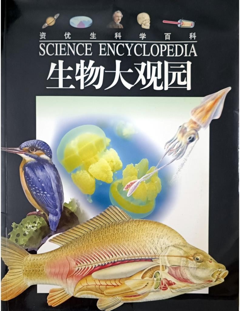 生物大观园