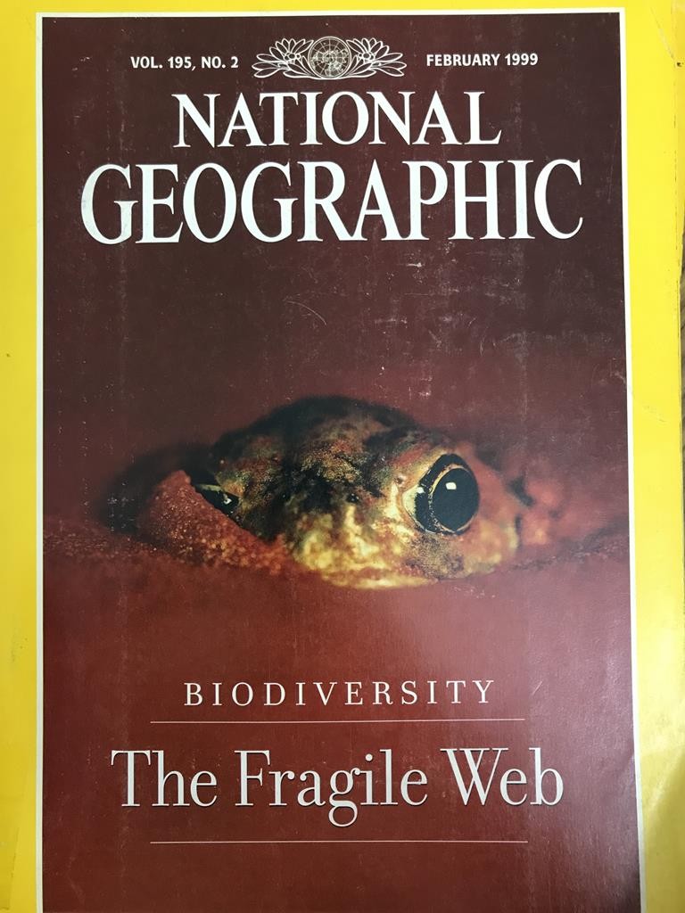 National Geographic - The Fragile Web