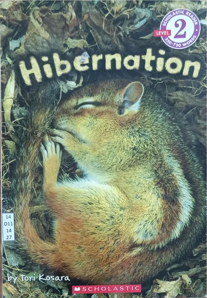 Hibernation