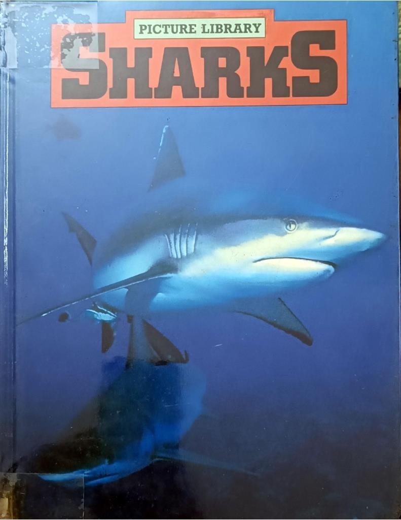 Sharks