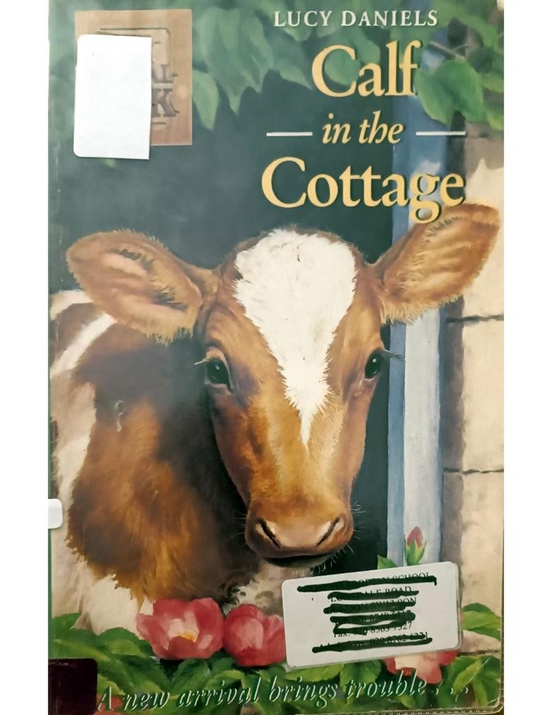 Calf In The Cottage (Animal Ark 15)