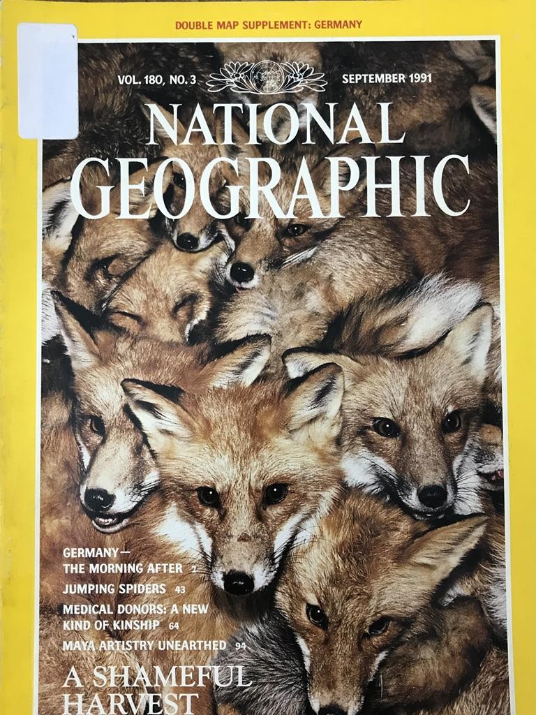 National Geographic-A Shameful Harvest