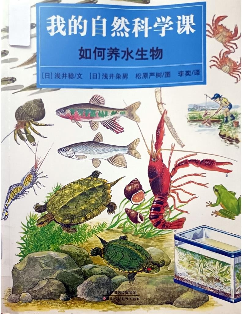 如何养水生物