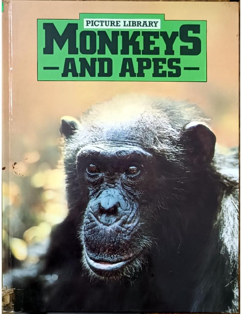 Monkeys - And Apes -